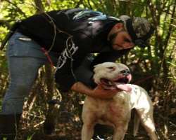 Alejandro is an animal lover and loves to do things for the benefit of animals.